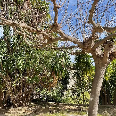 Apartament Entre Et Le Lavandou